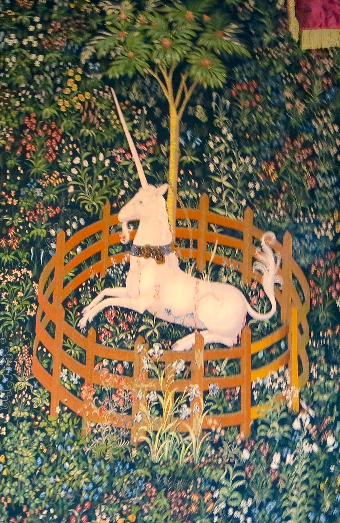 unicorn6