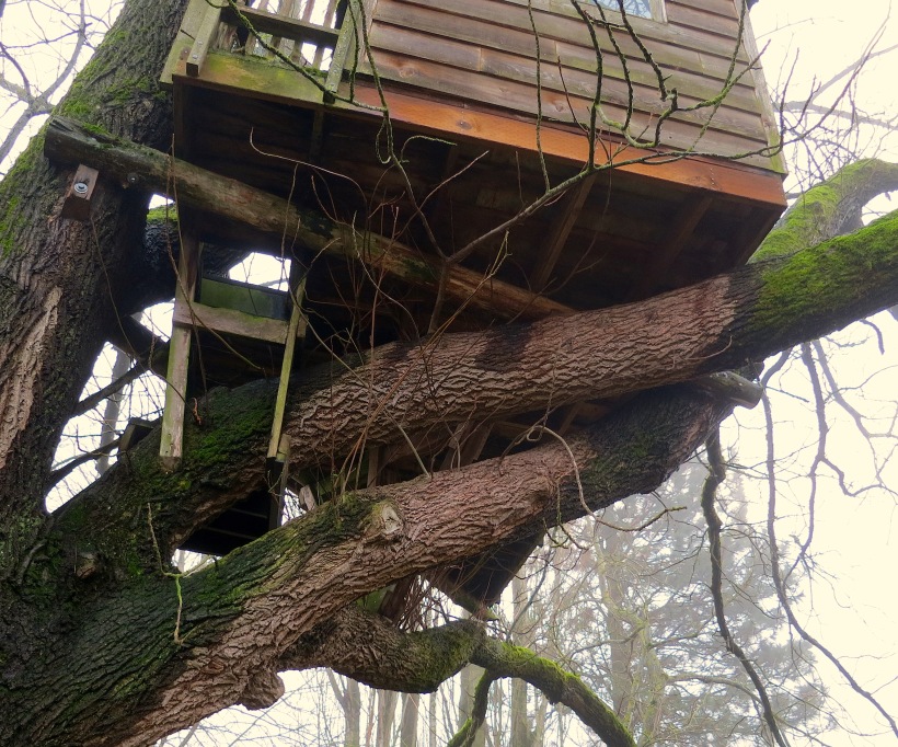 treehouse2014