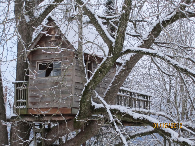 treehousewinter3
