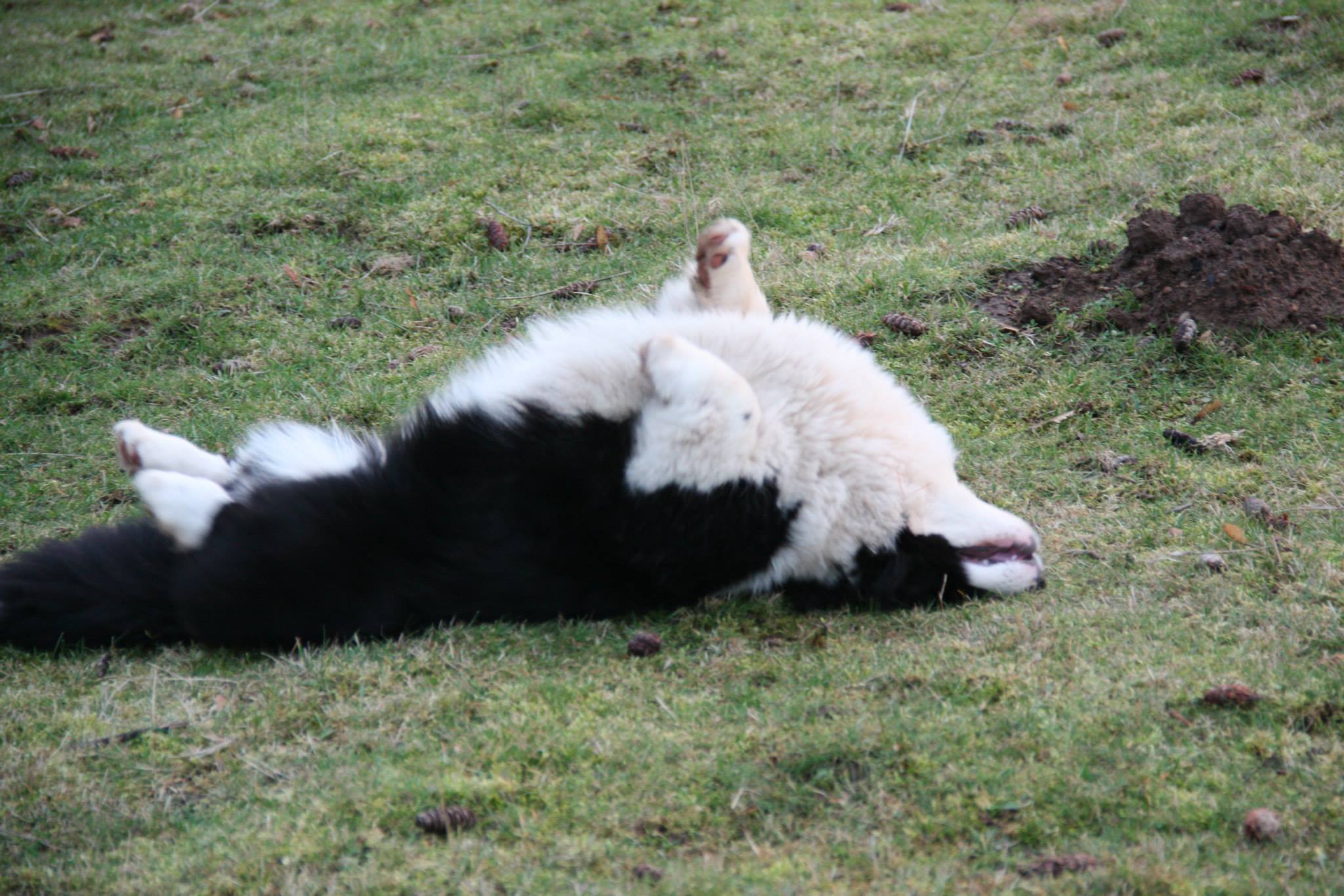 photos by Nate Gibson