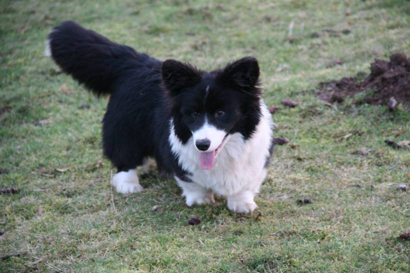 10899964_10203340508741042_6001648460984325129_o