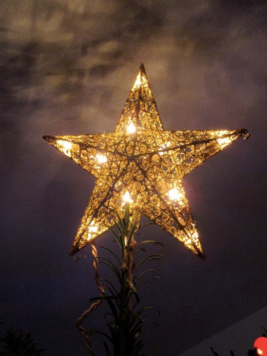 165770_1801190828697_1207615738_32169045_8245518_n