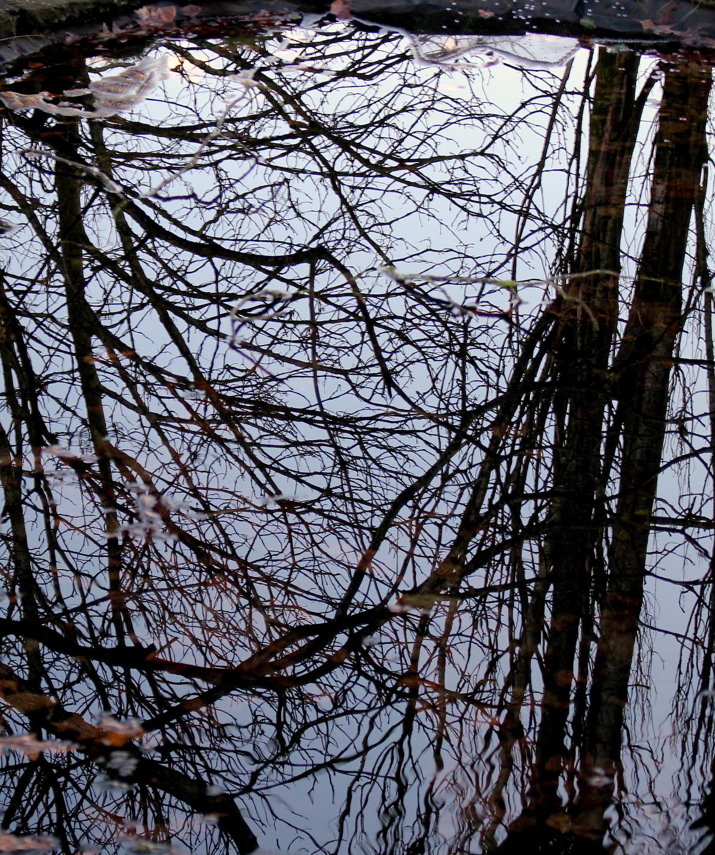 winterpond