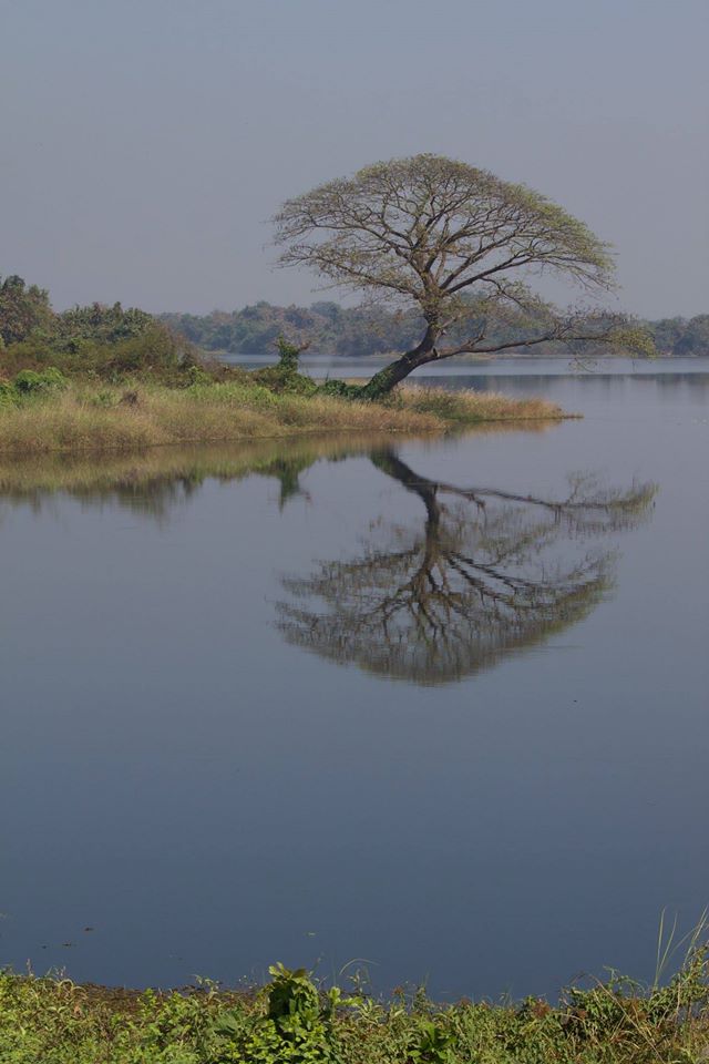 10974197_10152586644562046_2617999342651512955_o