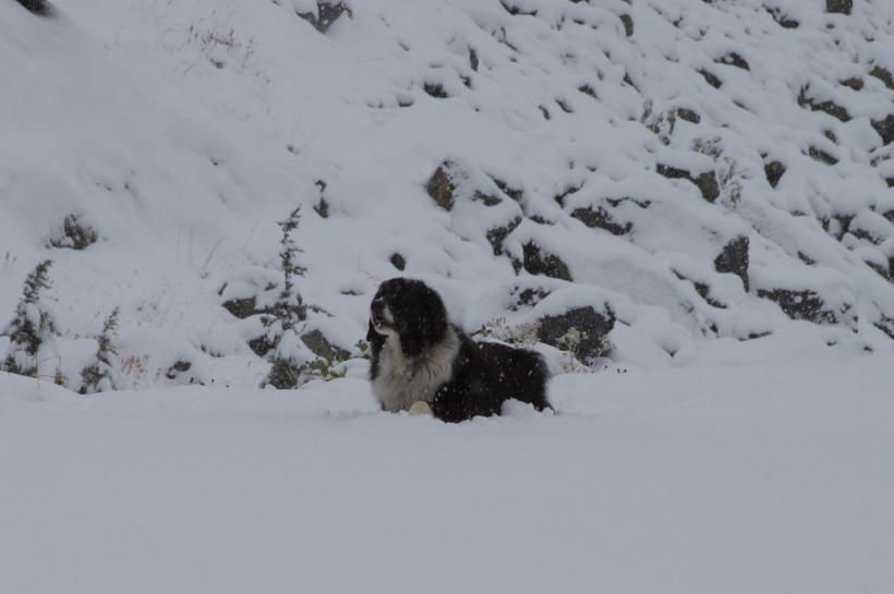 photo by Josh Scholten