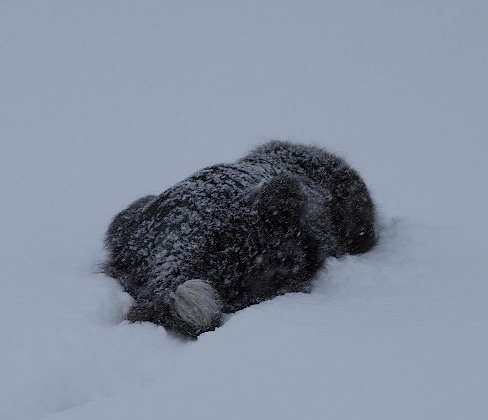 665597_4368770689726_1966144602_o