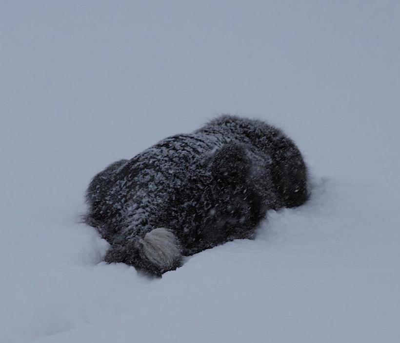 665597_4368770689726_1966144602_o