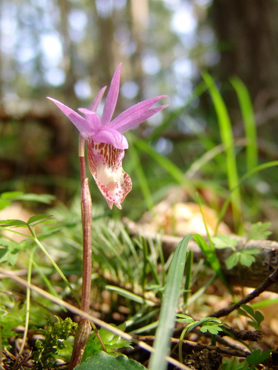 14119_552516830110_42904068_32556259_1112150_n