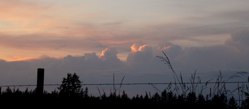 thunderheads51521152