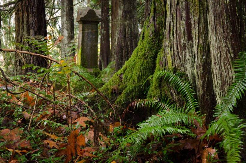 10714382_939827096046604_7287334440393224727_o