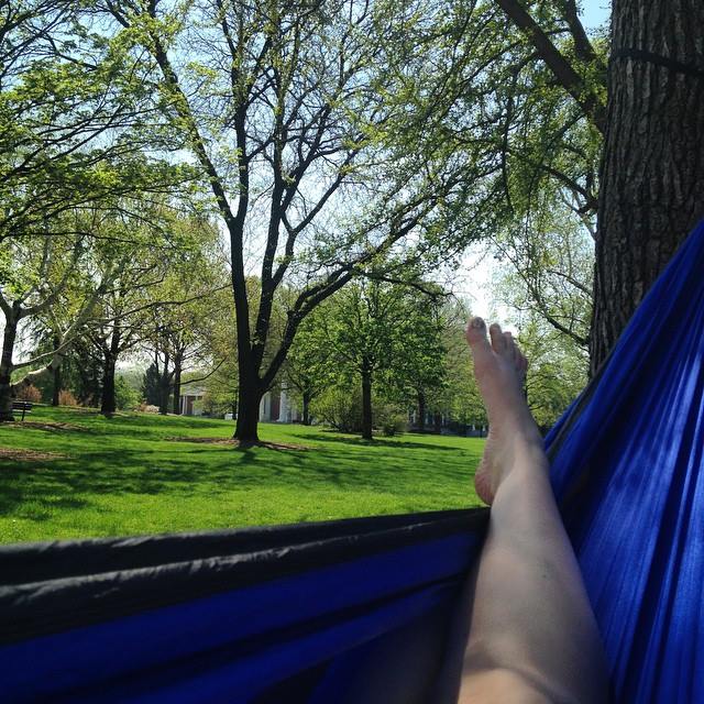 11049454_10206874326635849_5096319364598897086_n