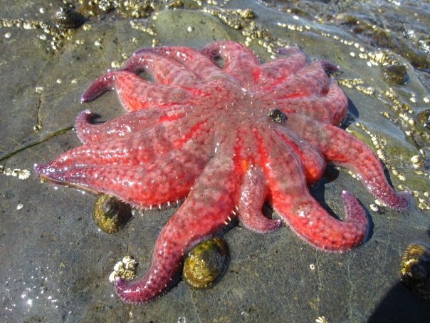 photo by Nate Gibson