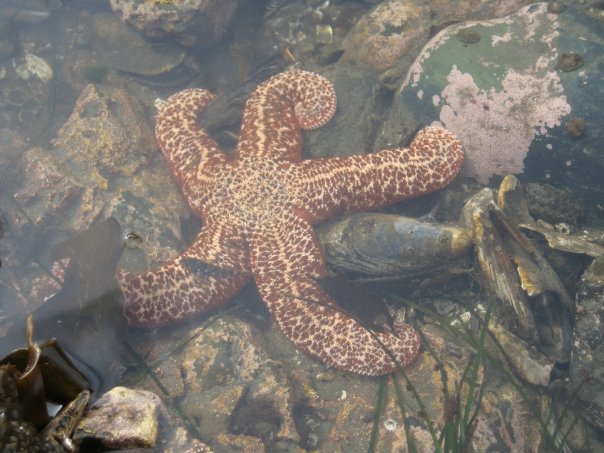 photo by Nate Gibson