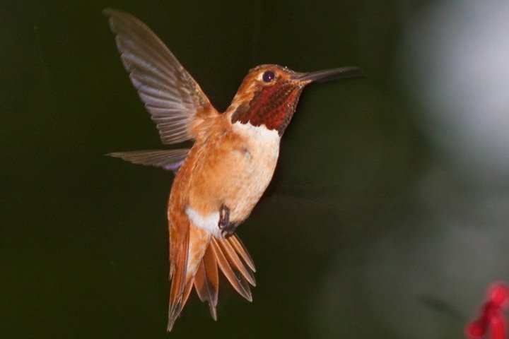 photo by Josh Scholten