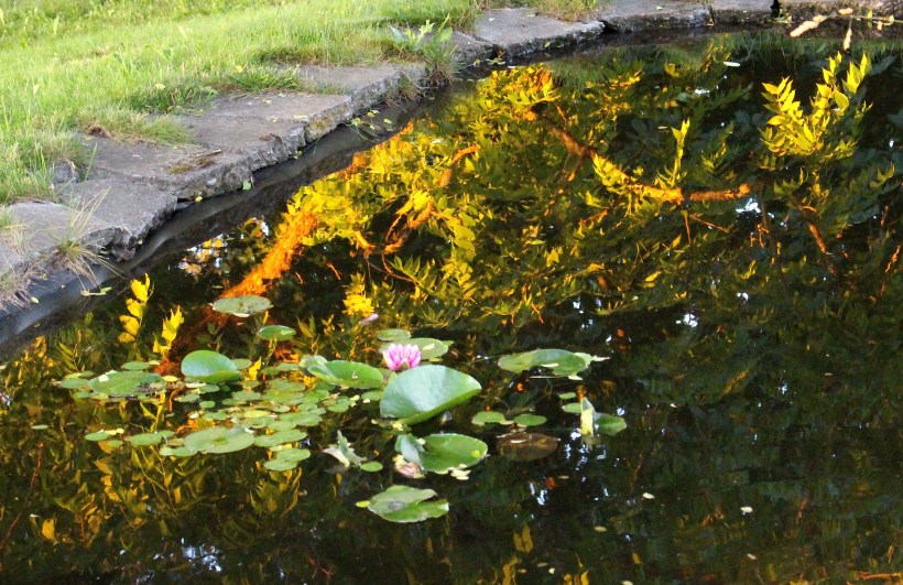 reflectionpond3