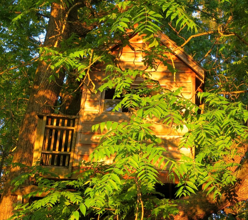 treehousesunset
