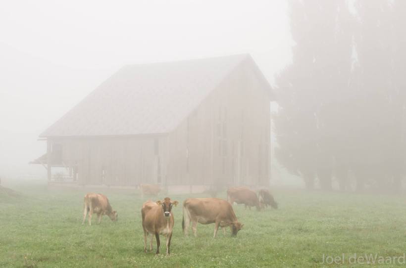 photo by Joel DeWaard