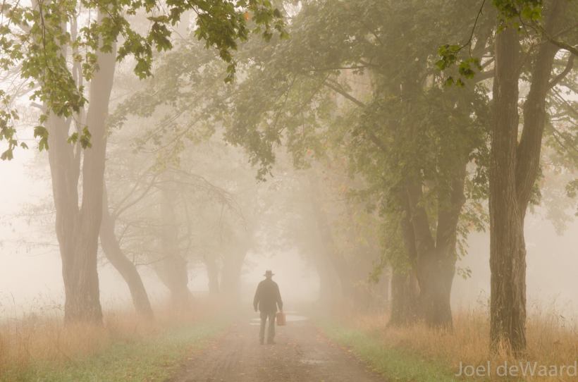 photo by Joel DeWaard