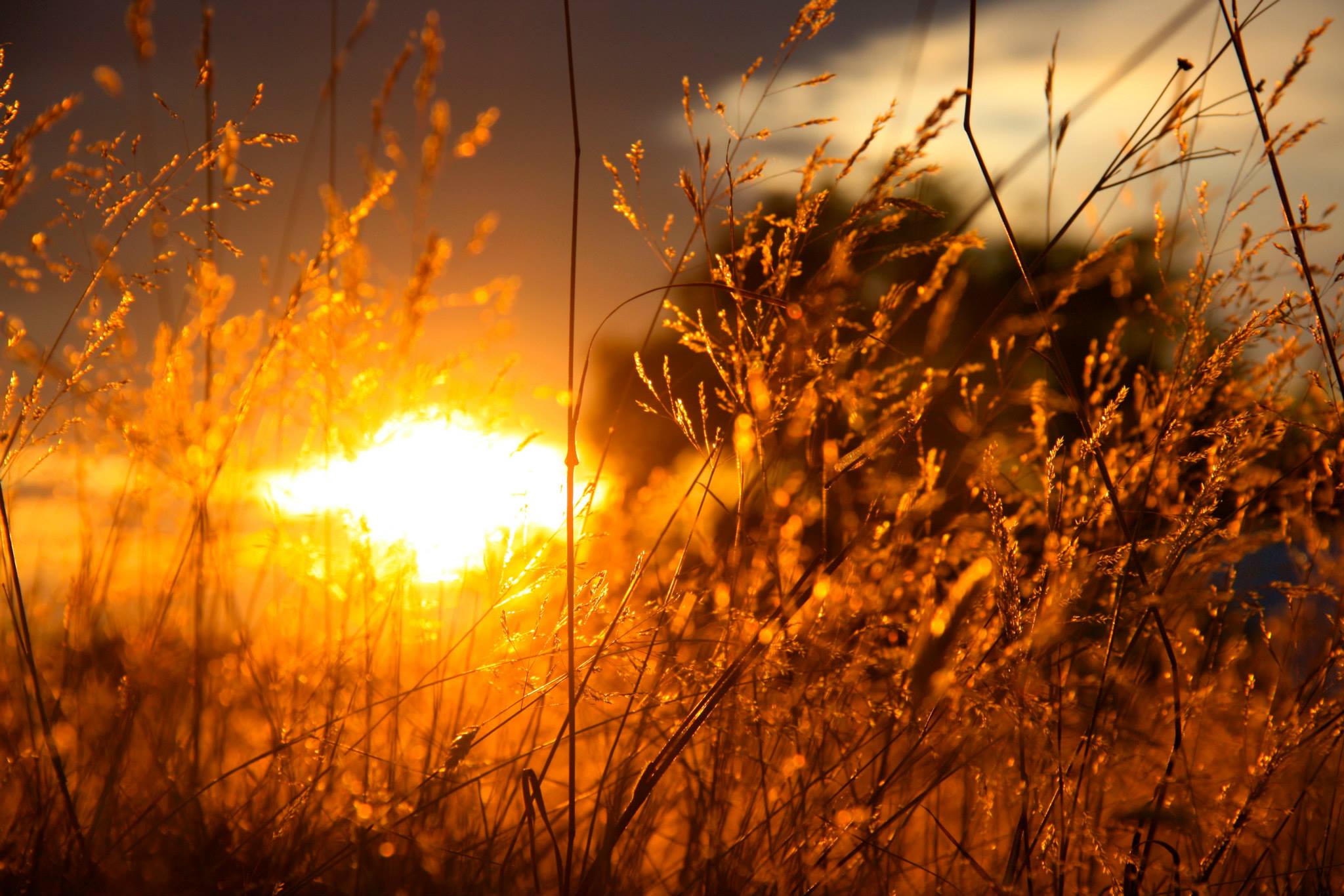 photo by Nate Gibson