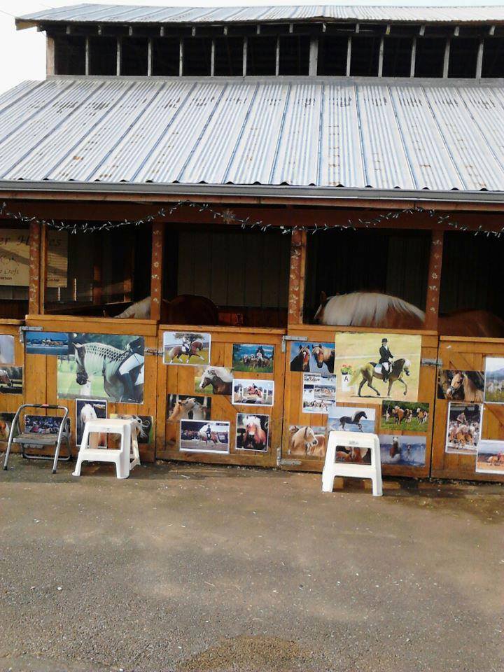 11887997_10153502721681119_411922729831800007_n