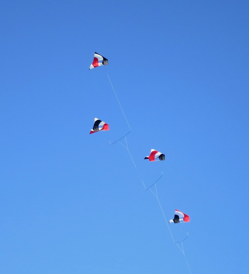 kites