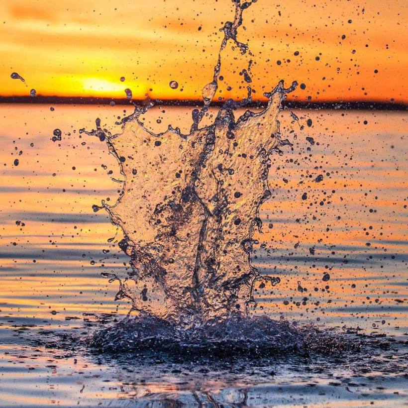 photo by Josh Scholten