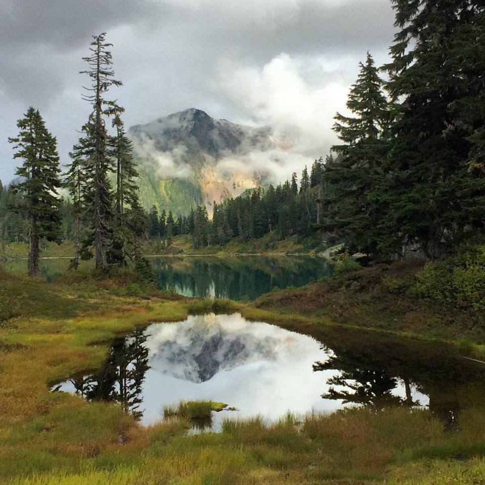 11951312_1198925466800331_3990099488883249004_n