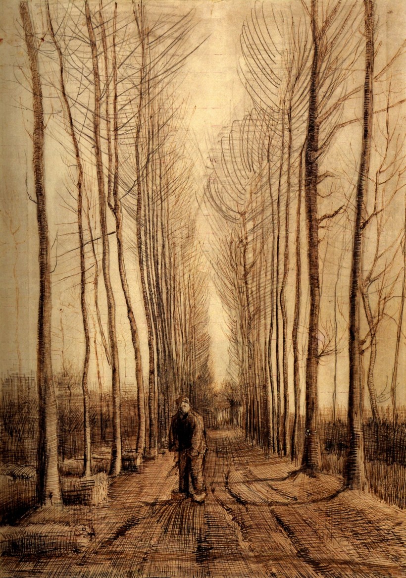 Van Gogh Avenue of Poplars