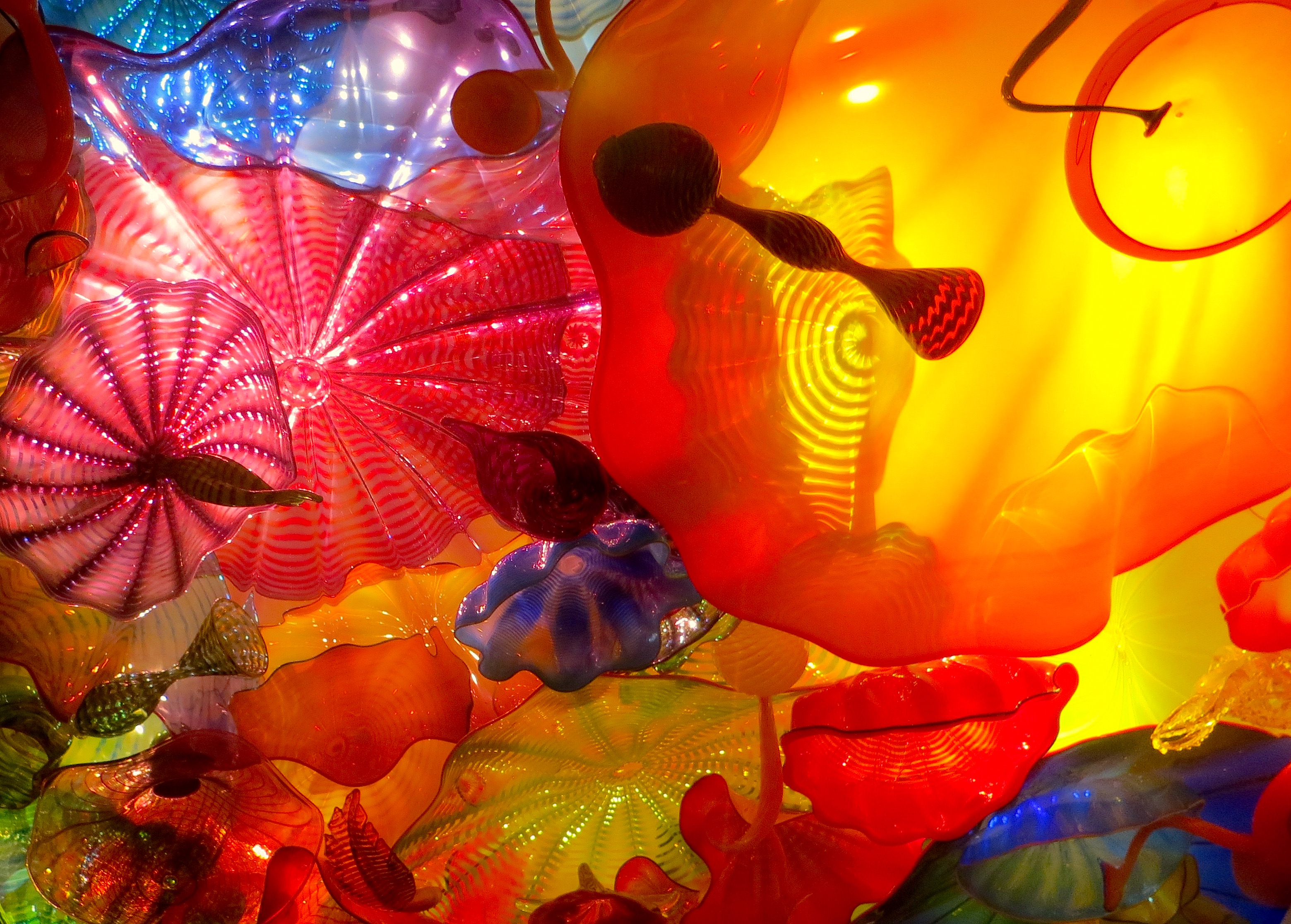 chihuly16