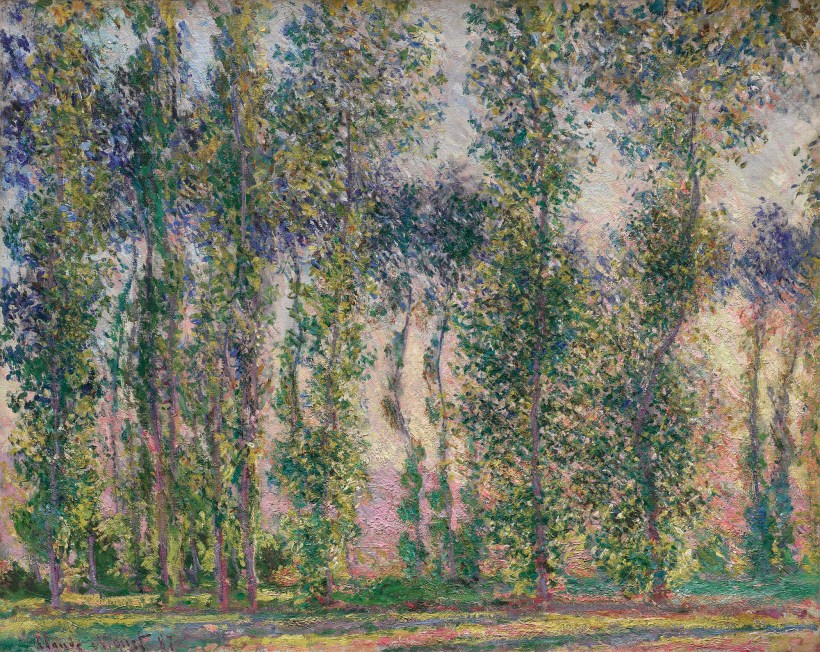 From spring to autumn 1891, Monet devoted himself to the treatment of a new subject, the only one he painted throughout this period: poplar trees. He produced a group of about 20 canvases depicting the trees planted on the edge of a marsh situated on the left bank of the Epte, two kilometres upstream from Giverny. The site had been put up for sale during the summer, and the plan was to cut down these trees. After the mayor had refused to grant a reprieve, Monet found himself forced to pay a sum of money to the timber merchant to stop the trees being felled before he had finished the series. Having set up in a boat, he made the most of the perspective effect offered by the line of poplars, which followed the winding course of the river upstream, forming a kind of large S. He was then able to form decorative compositions that were built around curved lines and counterbalanced by the verticals of the trunks. Monet painted several sub-series, reproducing the trees face-on and reflected in the river, but sometimes he reduced the motif to the simple vertical line of the trunks. With this new series, the painter repeated the approach he had undertaken the previous year with the Meules. The titles echo those he had chosen for that first series. The aim was identical in both cases: to depict the variations in light and seasons. The instantaneity of these paintings is meant to convey the impression one feels when encountering the subject at a precise moment. The poplars series was the first to be exhibited without any other painting, as a complete entity in itself, when it was shown in the Durand-Ruel gallery in 1892.