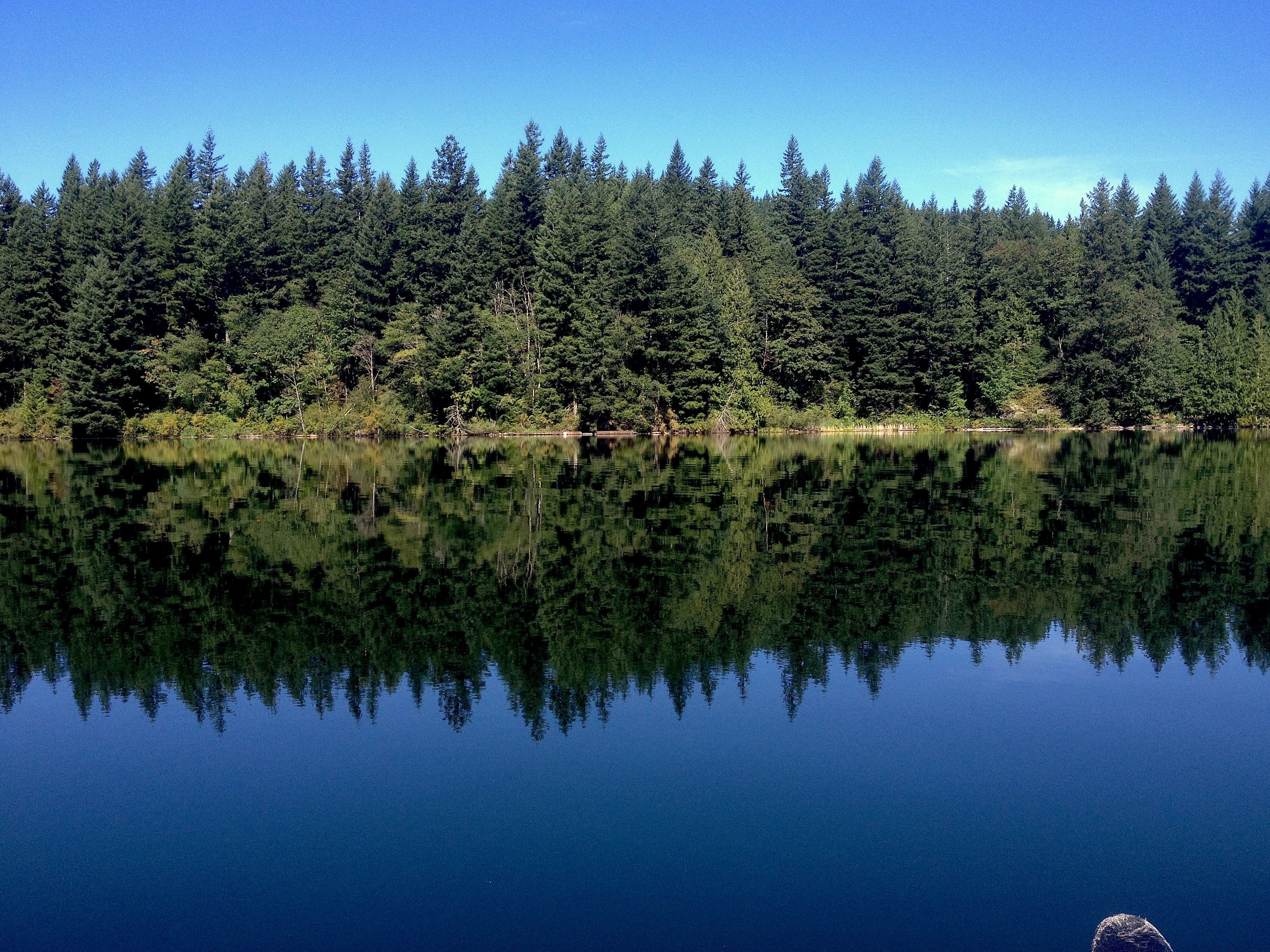 photo by Philip Gibson