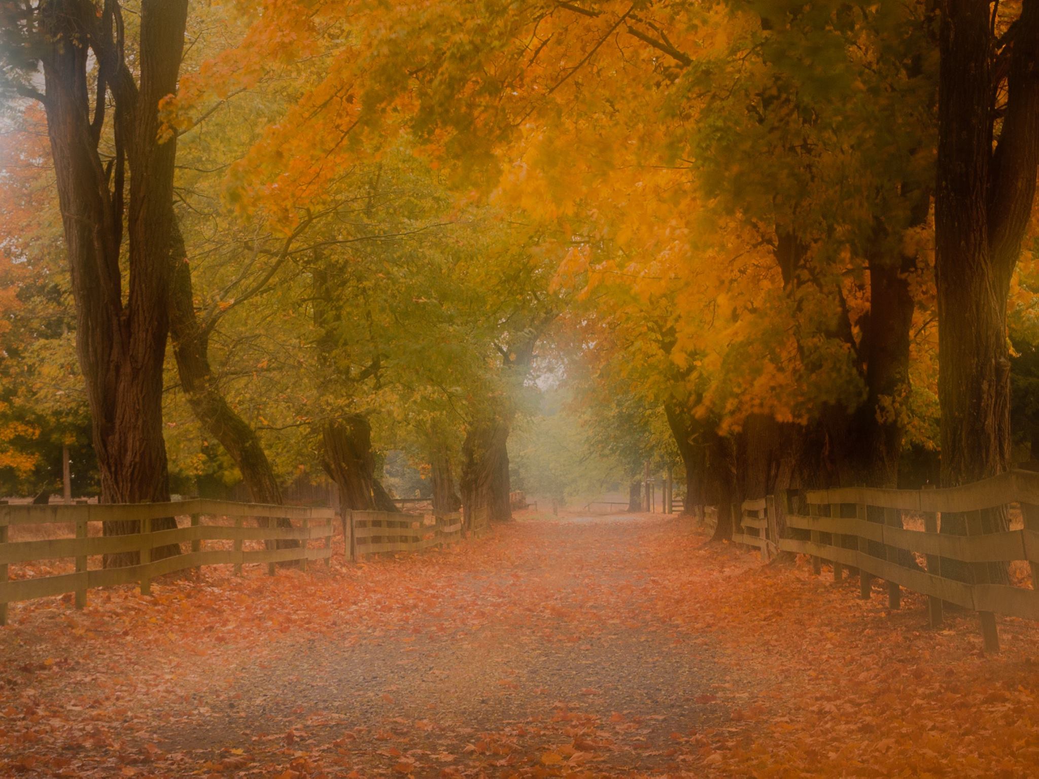 photo by Joel DeWaard