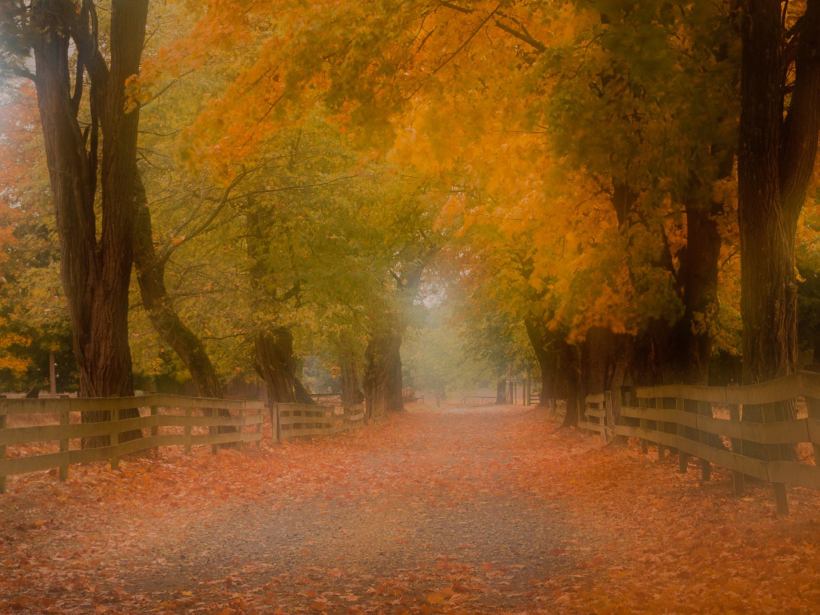 photo by Joel DeWaard