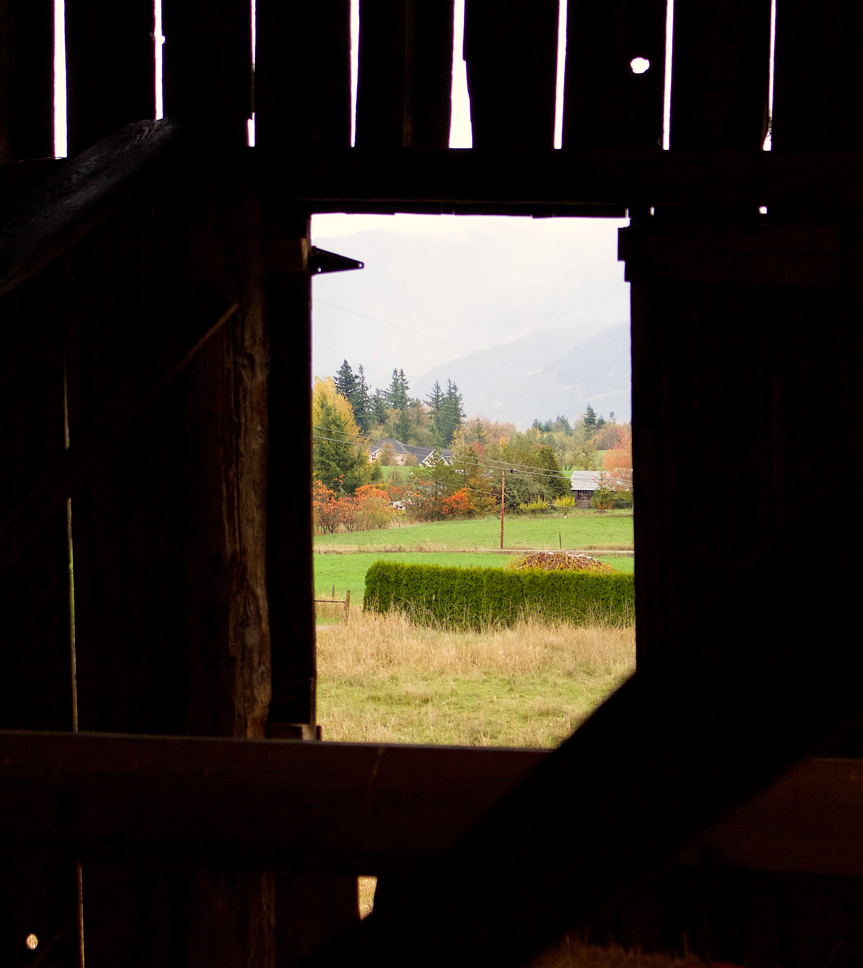 barn1031151
