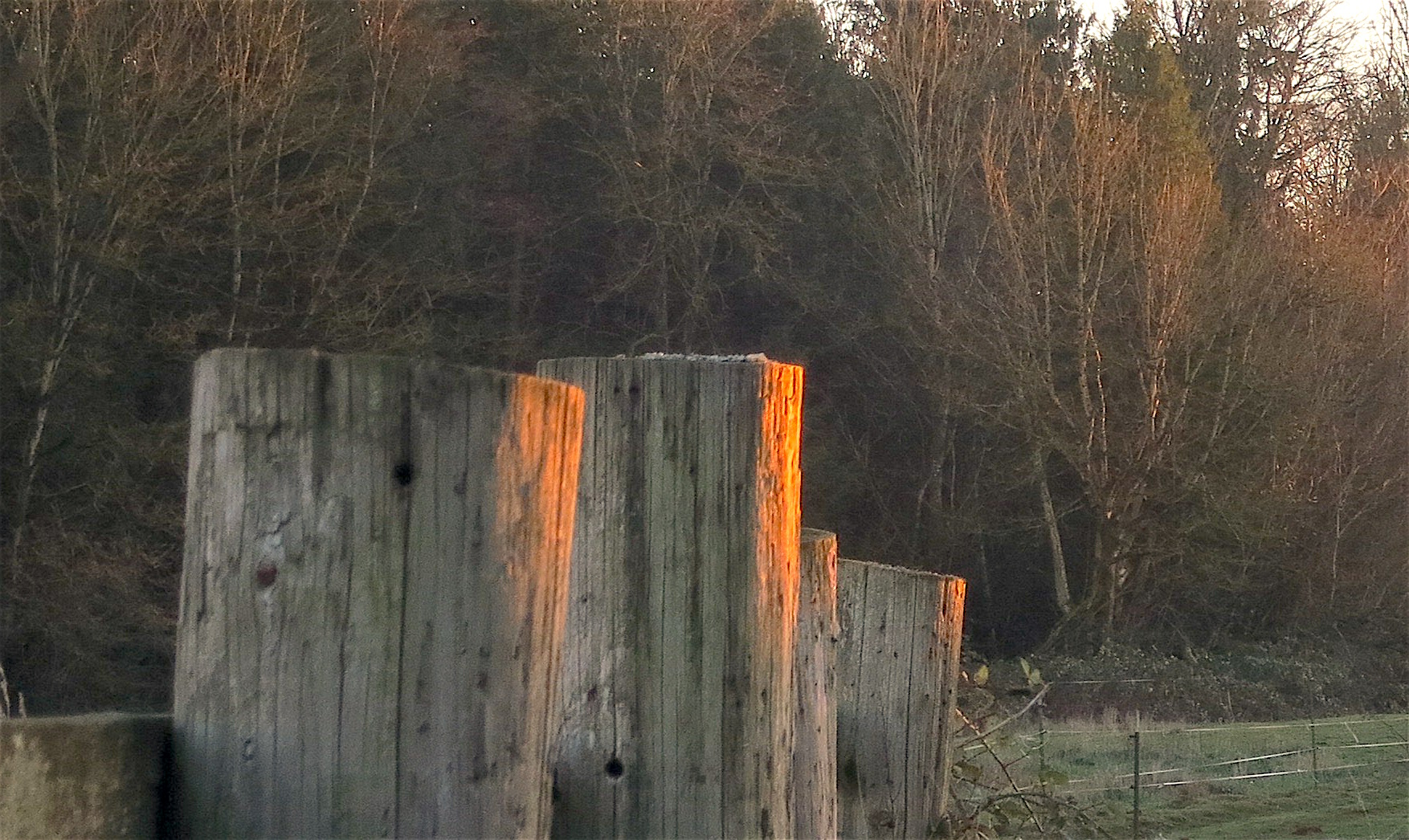 fencepostssunset