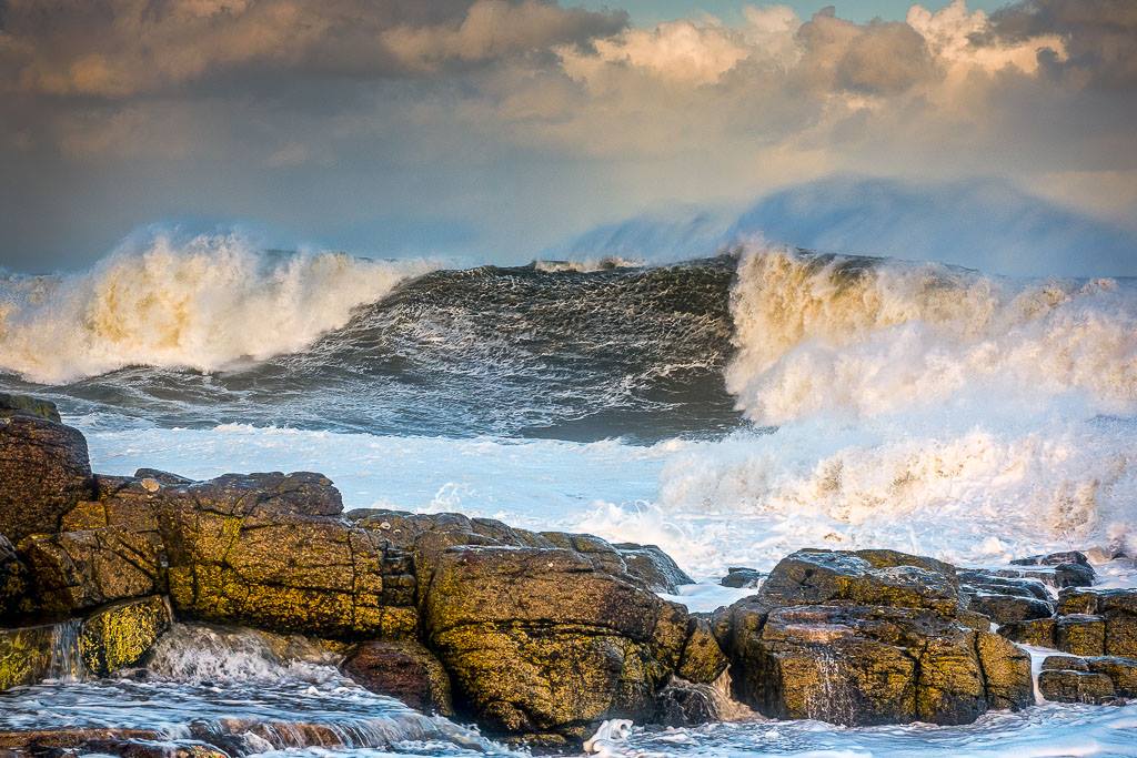 12628645_984115878290930_8235853035010475024_o