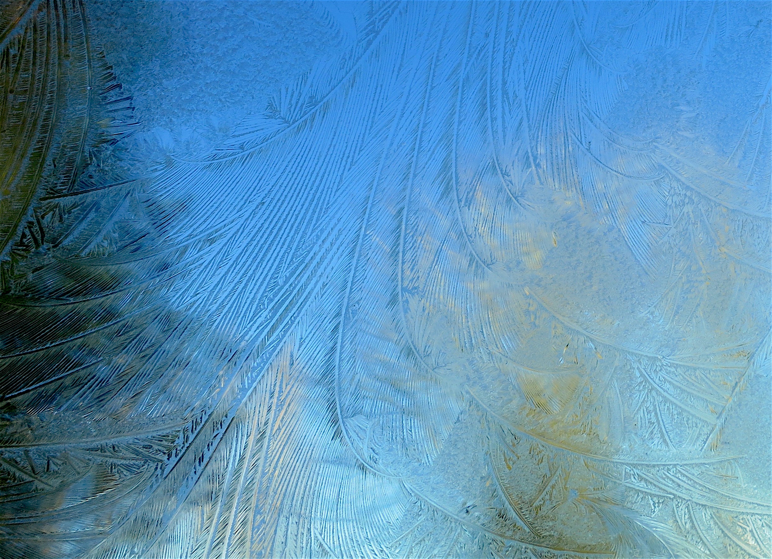 icywindshield3