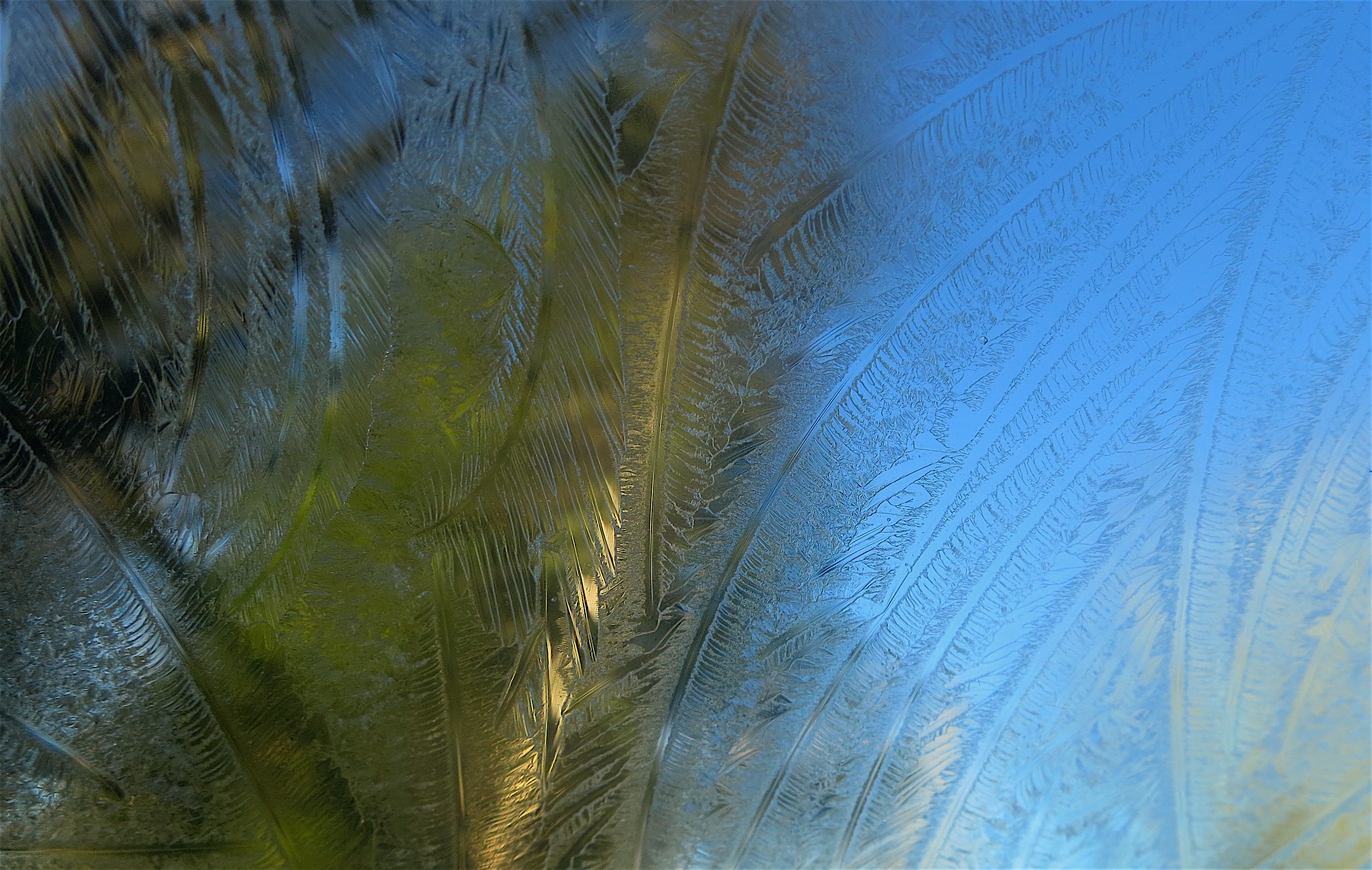 icywindshield4