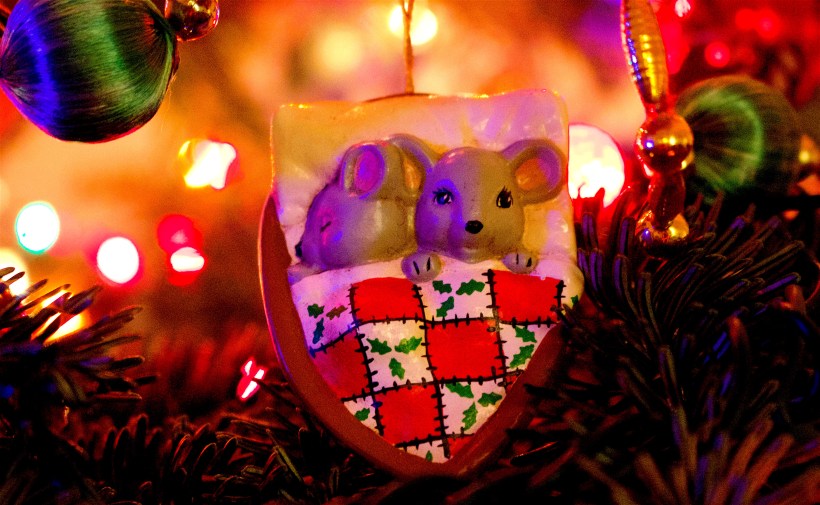 notacreaturestirring