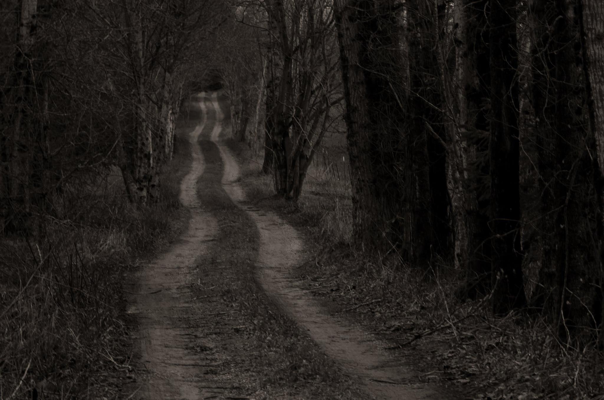 10272721_1192929930736318_5920762820171101609_o