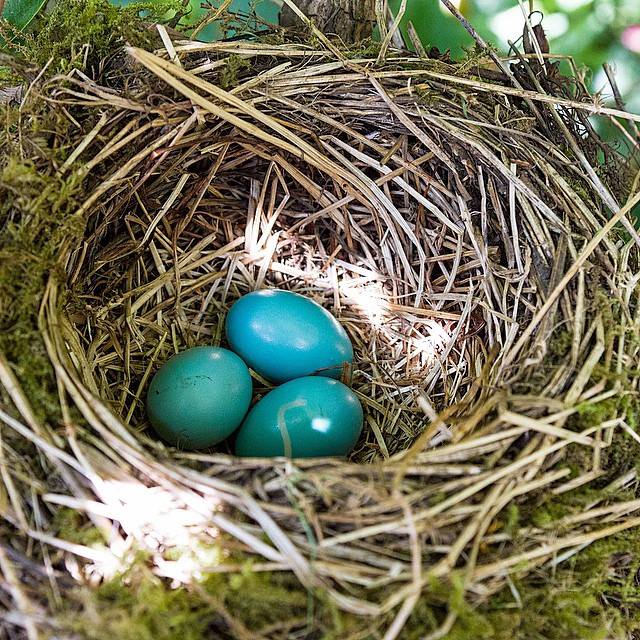 10523998_10205922980805935_5739538639980692388_n