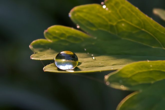 258503_2023255813320_4029126_o