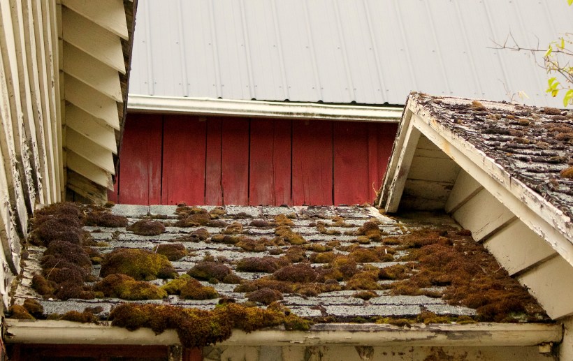 barnrooflines