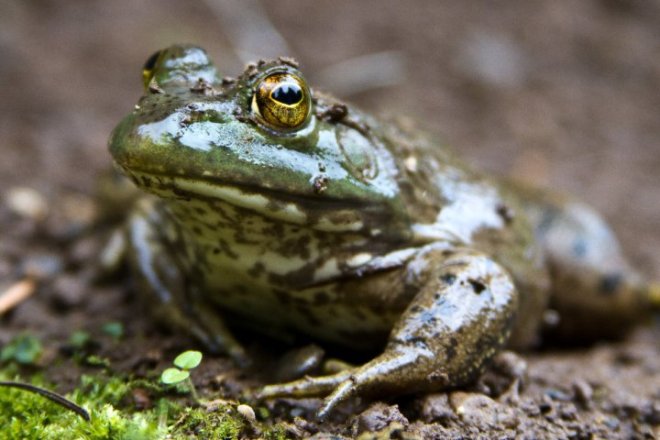 60788_1558044463327_1257314_n