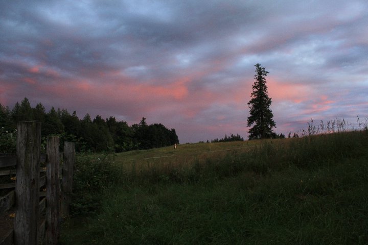 34951_517883756124_5953990_n