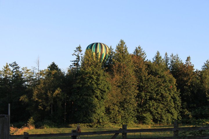 35134_517883776084_3657101_n