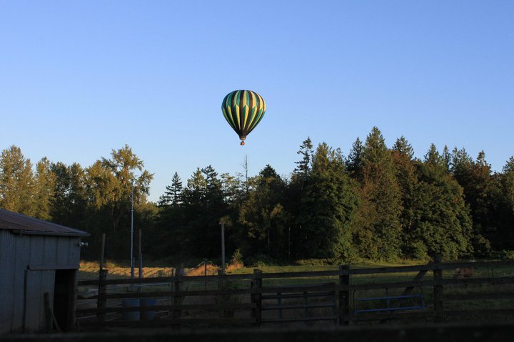 35134_517883786064_7099814_n