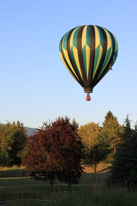 37502_517883845944_7944558_n