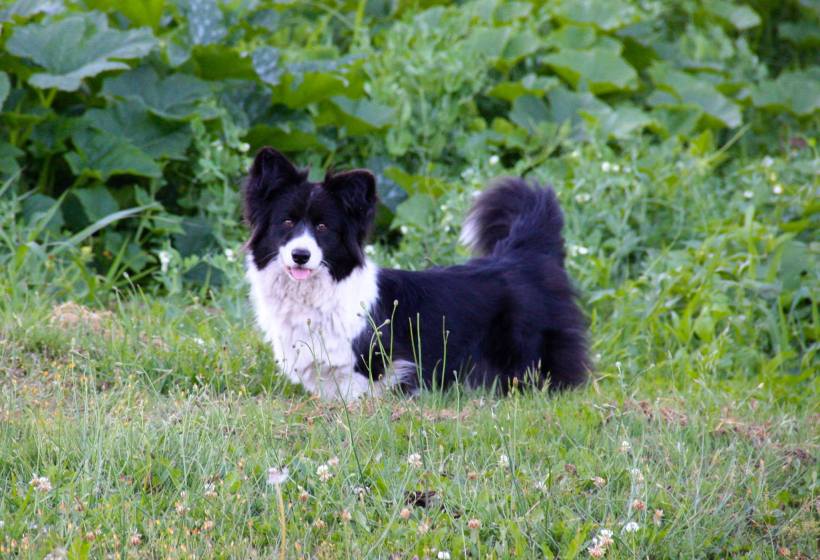 13765961_685751802214_8605052975363790500_o