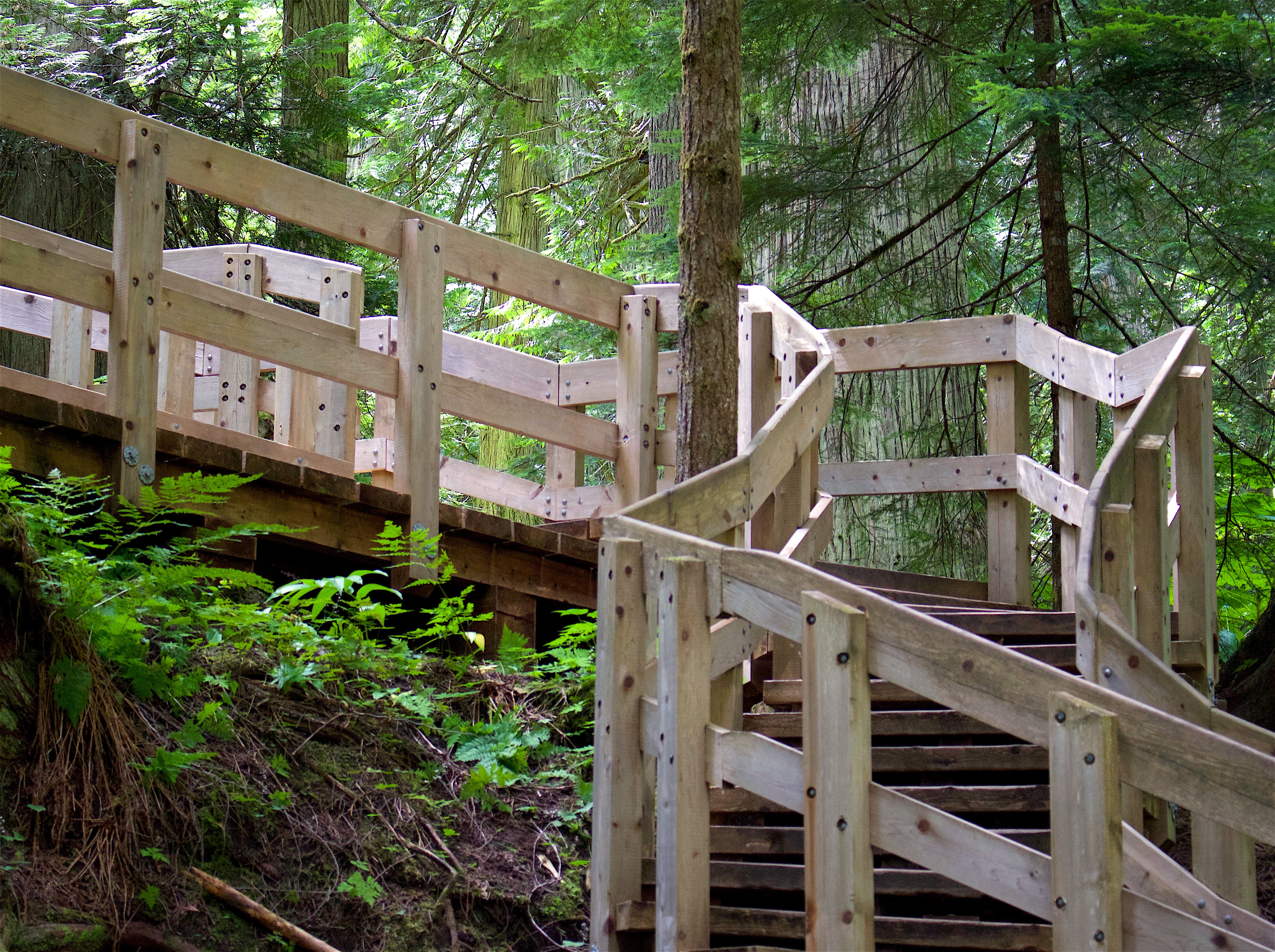 giantcedarsboardwalk